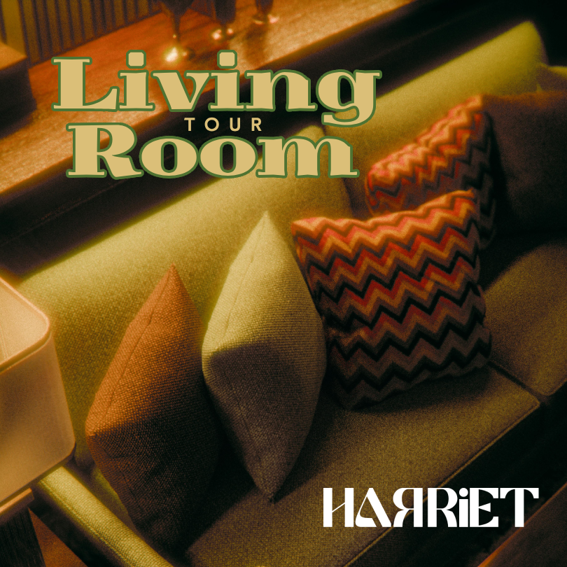 Harriet Sings: Concept Album Cover 2
