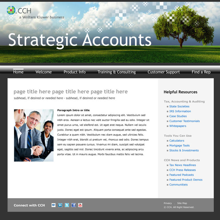 CCH Strategic Accounts